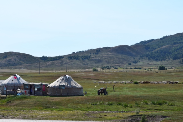 grassland with Kazakh's yurt houses and animals in a distance... yurt house - 氈房, 又名哈薩包, 是哈薩克族人遠祖以來的住房